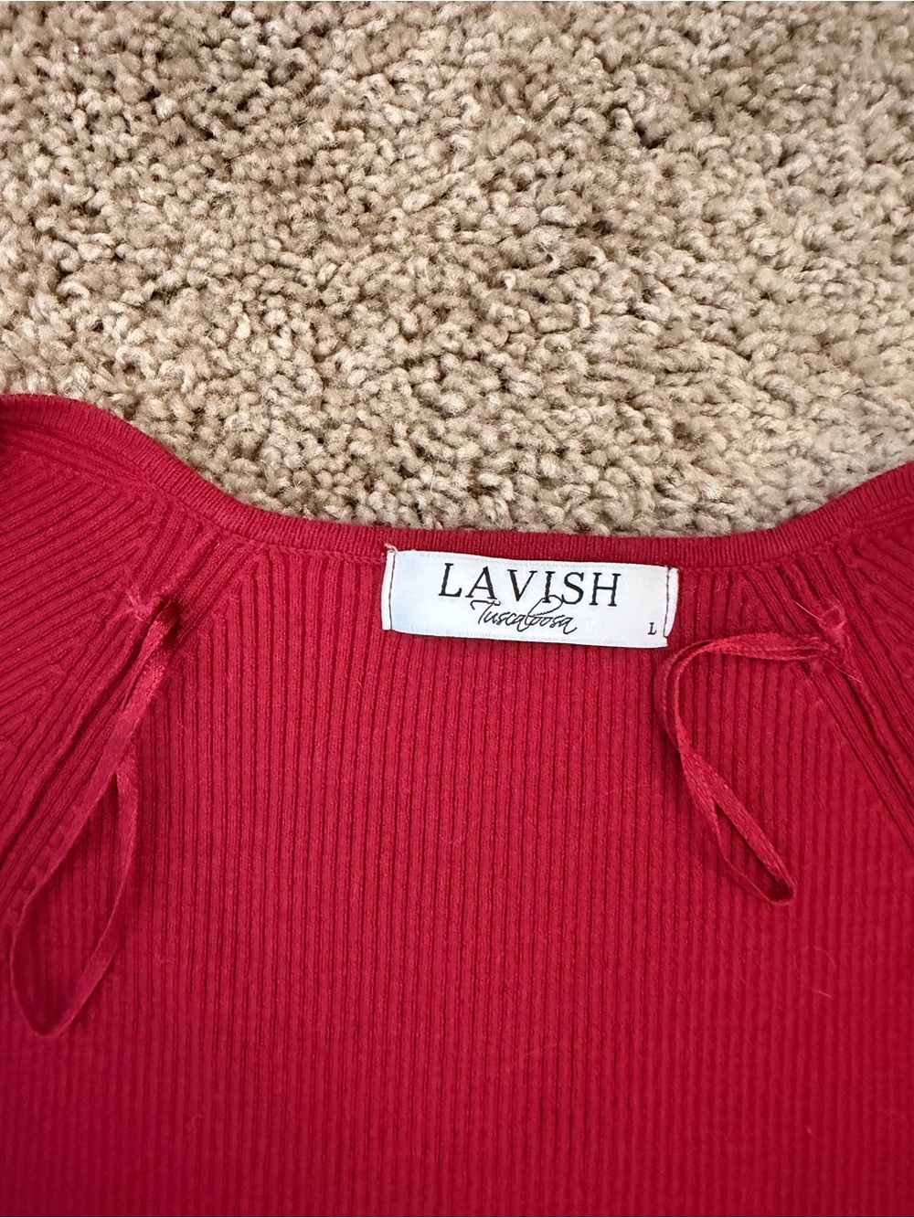 Lavish Red Ribbed Mini Bodycon Dress - Picture 2 of 3